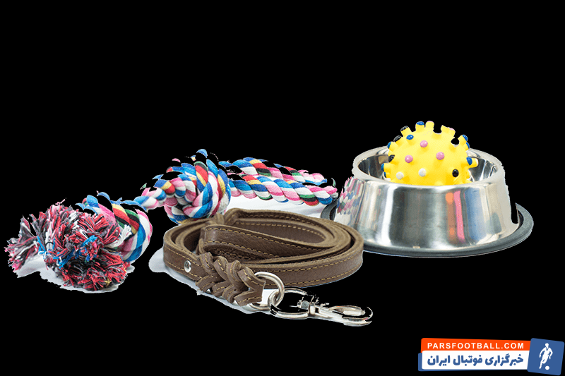 پت شاپ آنلاین: راهی آسان برای خرید محصولات حیوانات خانگی