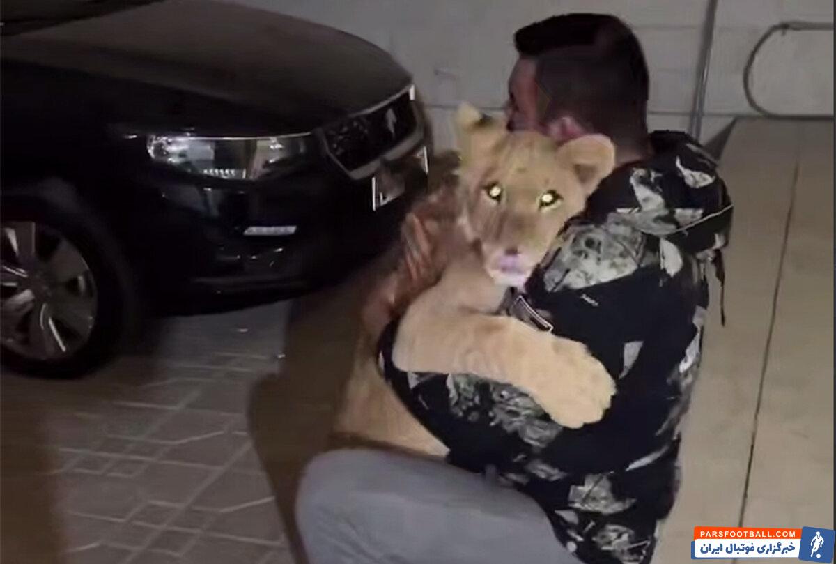 واکنش امیر علی‌اکبری به ویدیوی خبرساز؛ محیط زیست "پیروز" را کشت اما من این حیوان را زنده نگه داشتم!