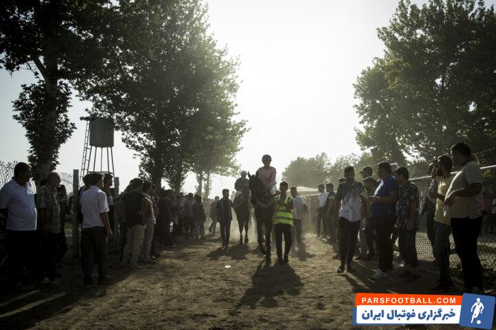 جایزه ۶۰ میلیارد ریالی برای هفته دوازدهم کورس اسبدوانی گنبدکاووس