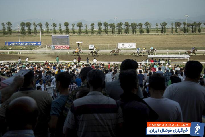 تاخت ۶۸ اسب در آغاز هفته سیزدهم کورس گنبدکاووس