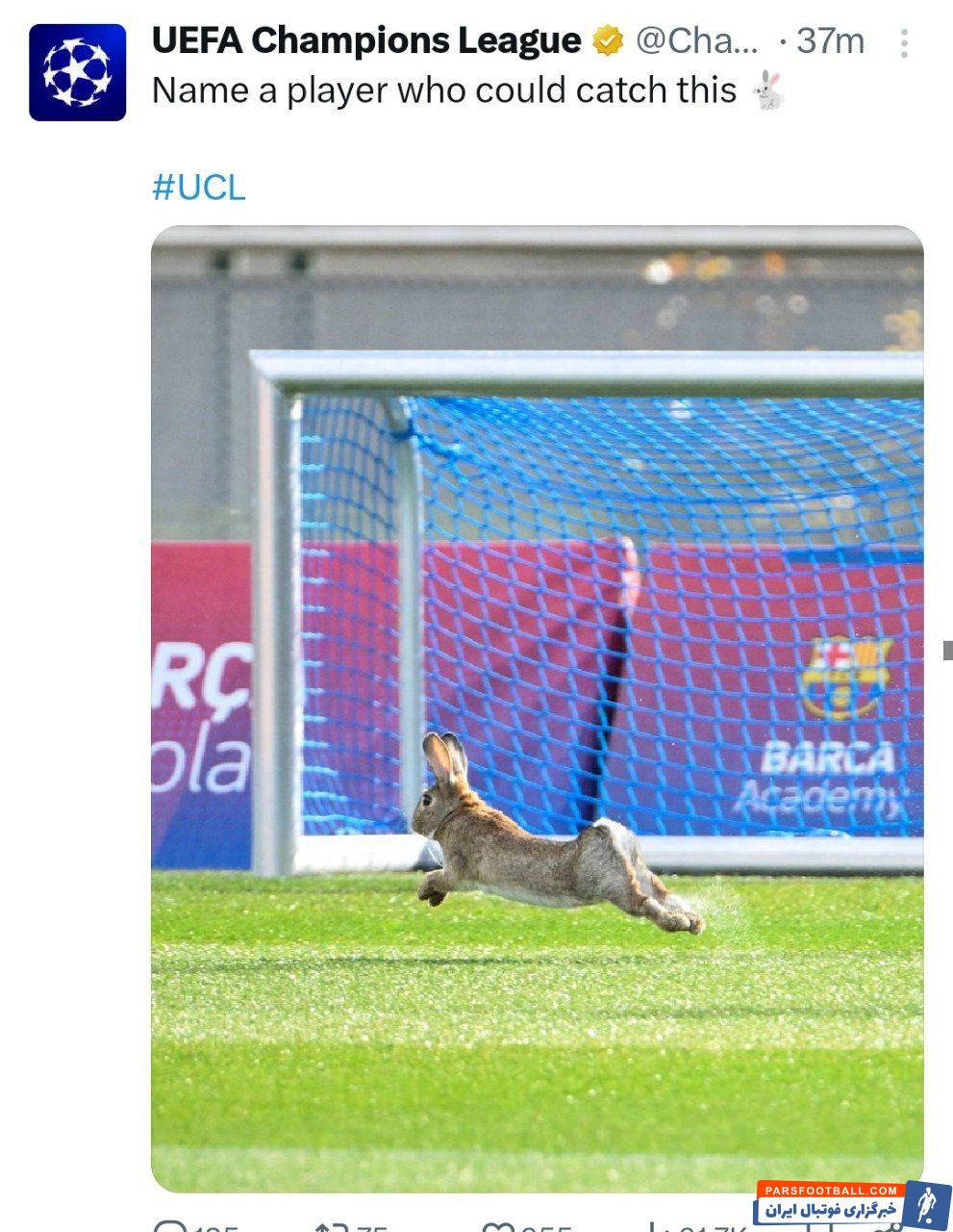 بارسلونا ؛ ورود یک خرگوش به زمین تمرین بارسلونا 