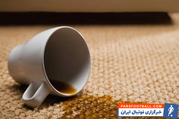 پاک کردن لکه‌های رایج از روی فرش+ راهنمای کامل