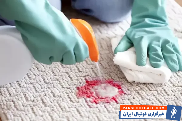 پاک کردن لکه‌های رایج از روی فرش+ راهنمای کامل