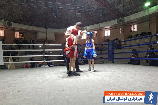 کشف استعدادهای بوکس در سایه بی‌توجهی به بزرگسالان؛ تیم ملی قربانی نشود