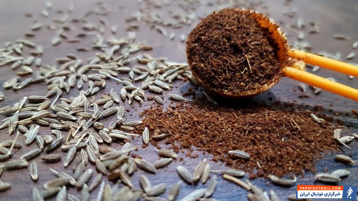 آشنایی با انواع زیره - زیره چیست؟؟