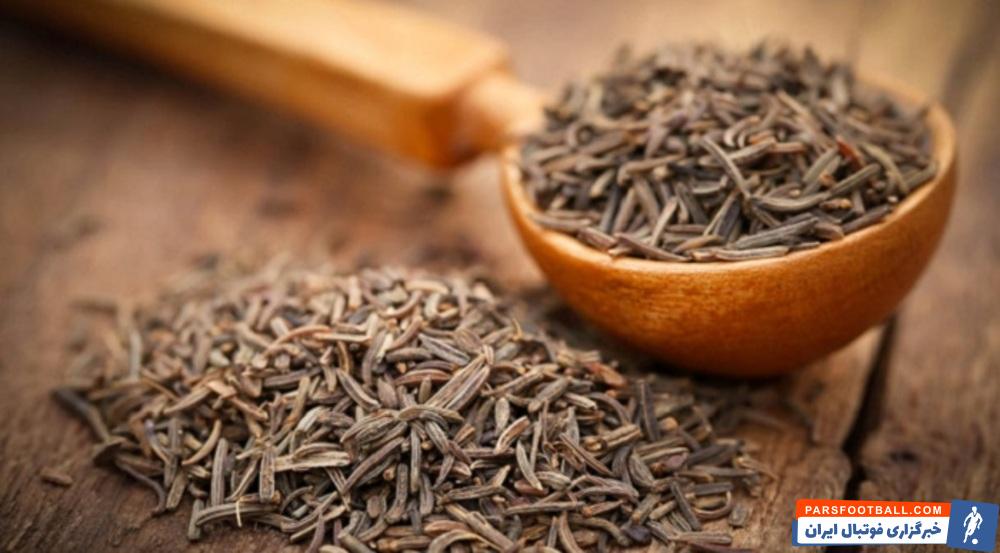 آشنایی با انواع زیره - زیره چیست؟؟