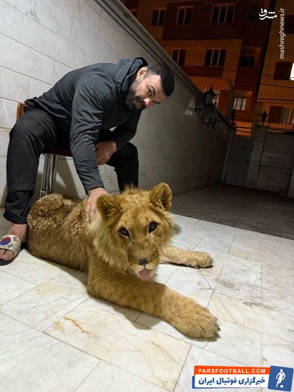 ماجرای توله شیری که دزدگیر خانه قهرمان کشتی فرنگی جهان بود