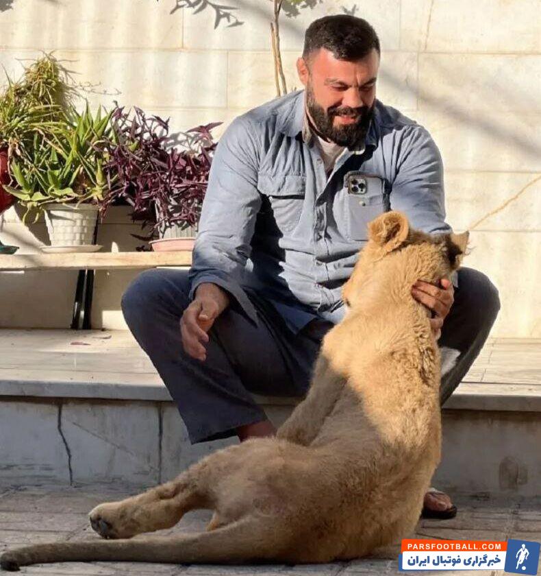 امیرعلی اکبری و توله شیر