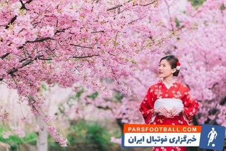 تور شکوفههای گیلاس (هانامی): سفر بهاری بینظیر در ژاپن