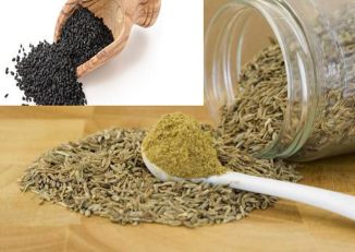 آشنایی با انواع زیره - زیره چیست؟؟