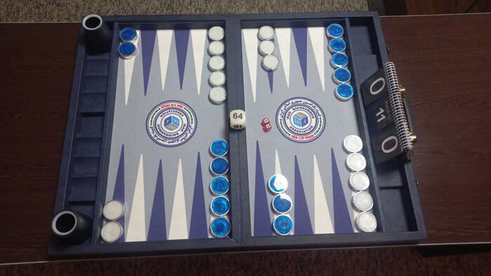 صادقی‌بینا: بک‌گمون متفاوت از تخته‌نرد است/ بیشترین استاد بزرگ جهانی را در این رشته داریم