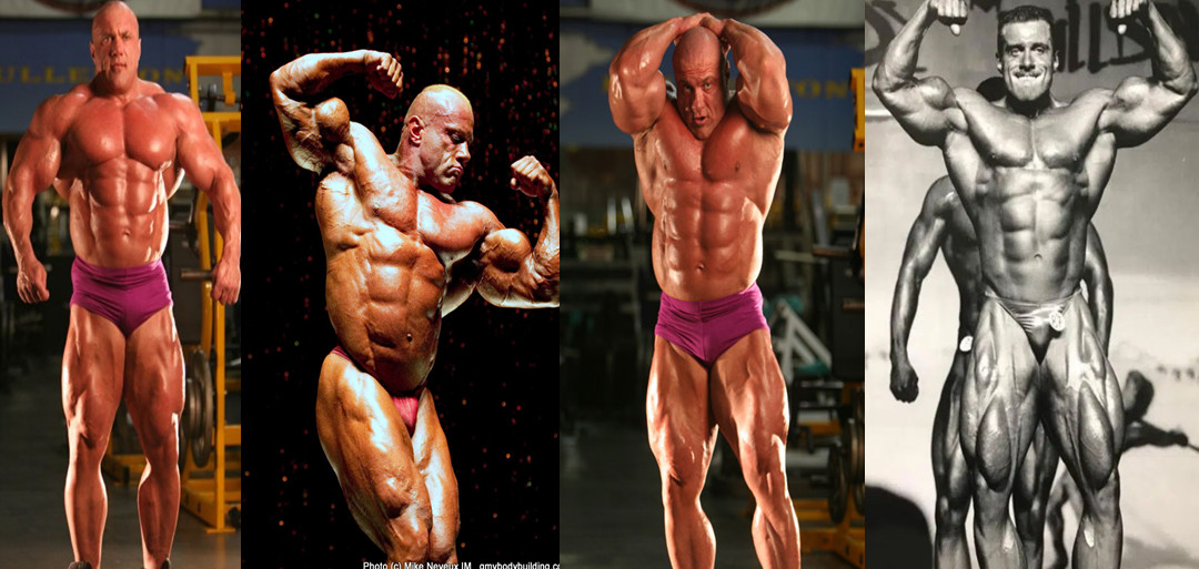 هایکو کالباخ