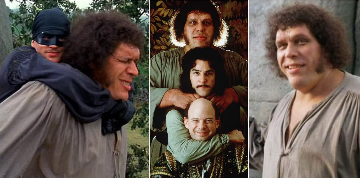 2025-04-25_204159 آندره دجاینت در عروس شاهزاده