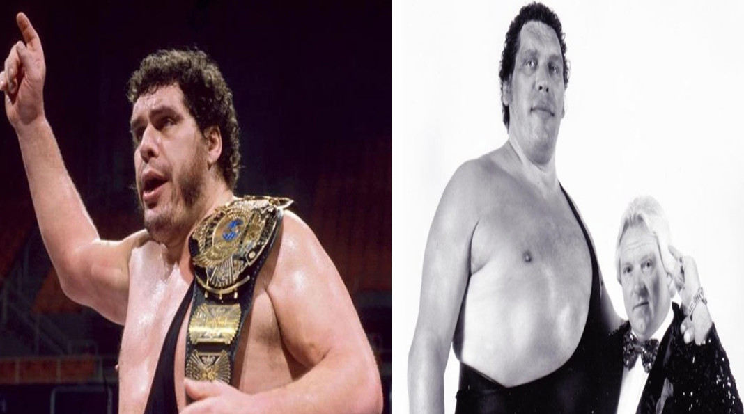 2025-04-25_204814 آندره دجاینت