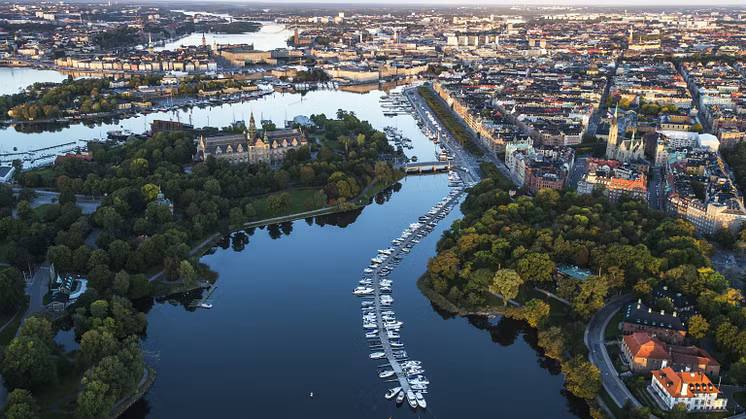 دیورگوردن سوئد