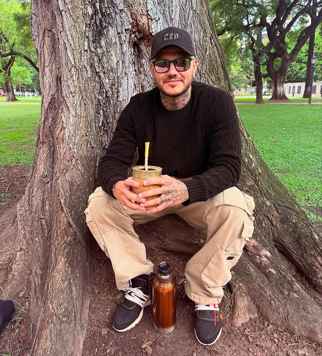 مائورو ایکاردی