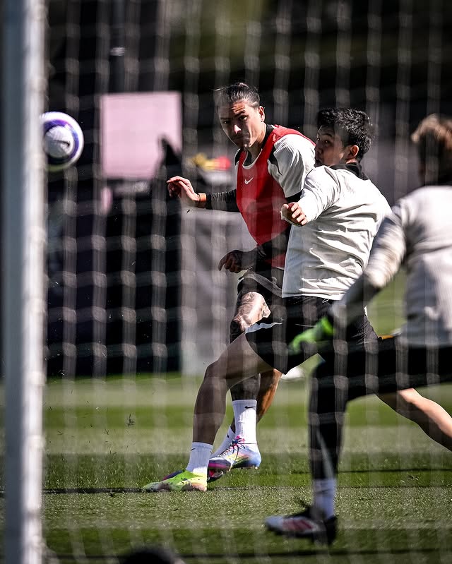 داروین نونیز