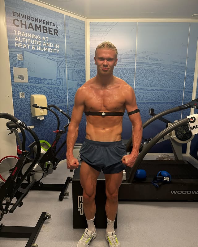 ارلینگ هالند