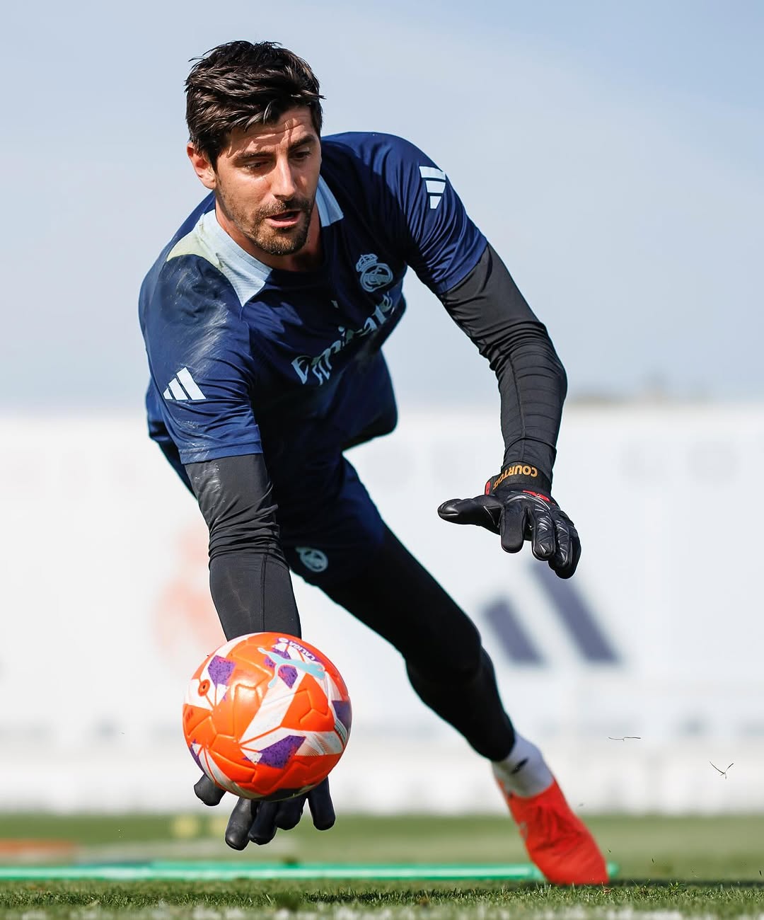 تیبو کورتوا