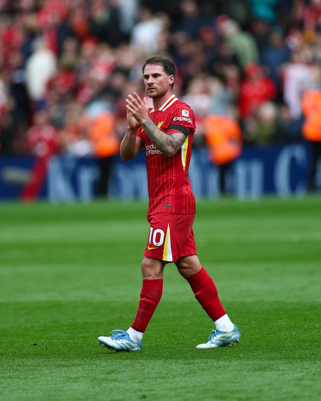 الکسیس مک آلیستر