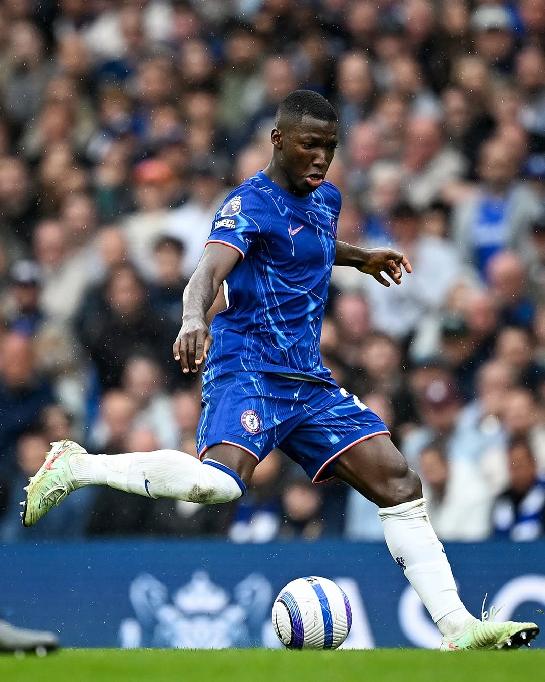 مویسس کایسدو