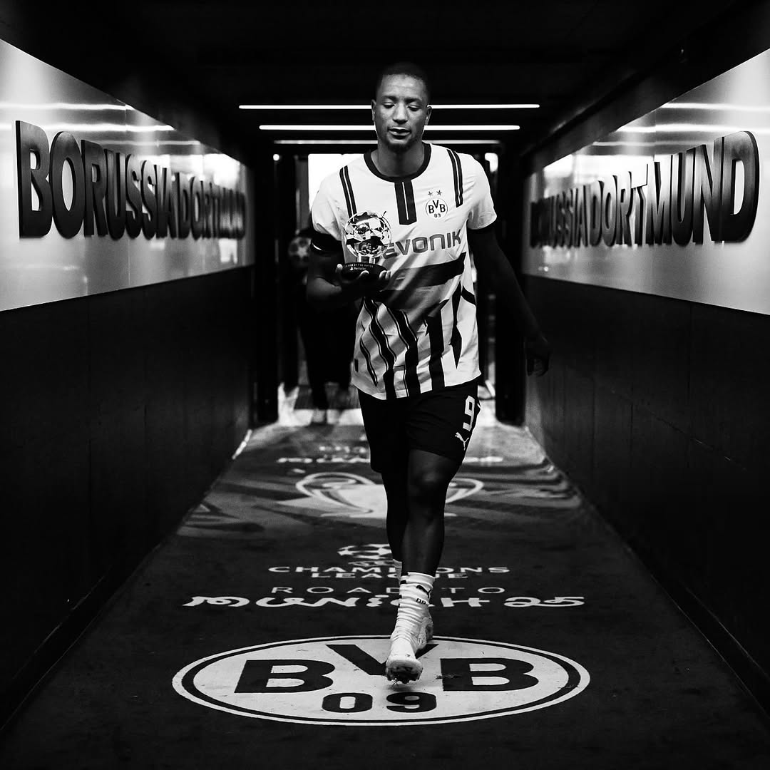 photo_2025-04-17_00-59-41 سرو گیراسی