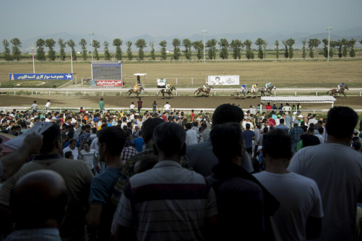 171140950 پادشاهی سرعت در روز دوم هفته ششم اسبدوانی گنبدکاووس