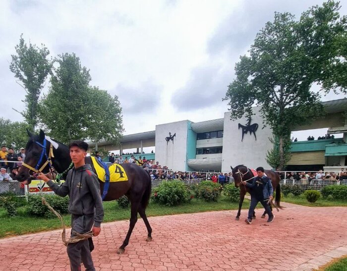 ۱۹۵ اسب، یک هدف؛ فتح جوایز ۵۲ میلیاردی کورس گنبدکاووس