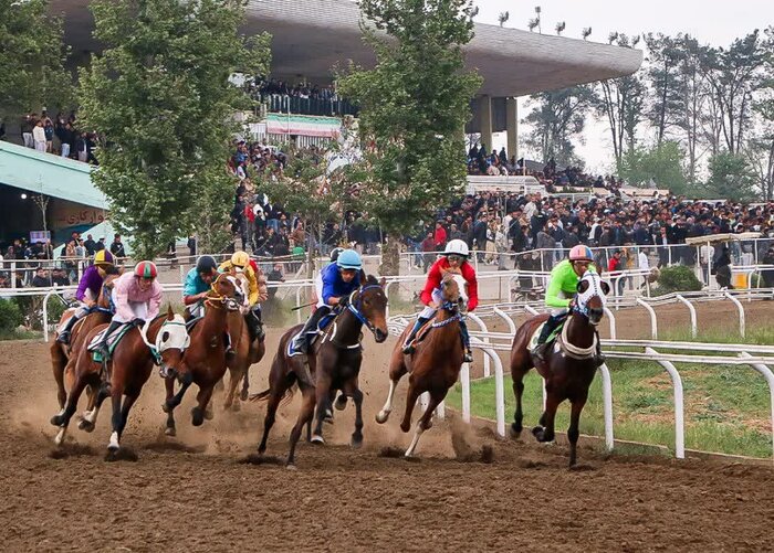 معرفی اسب‌های برتر هفته هشتم کورس گنبدکاووس