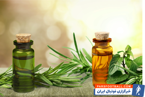 روغن درخت چای : با خواص شگفتانگیز برای پوست و مو + نحوه استفاده