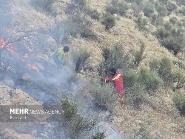 5502131 آتش در کمین جنگل های کهگیلویه؛از عامل انسانی تا کمبود تجهیزات مهار آتش