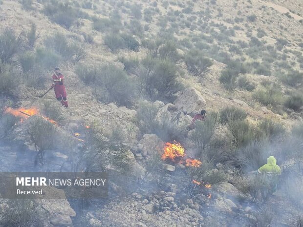 5502142 آتش در کمین جنگل های کهگیلویه؛از عامل انسانی تا کمبود تجهیزات مهار آتش