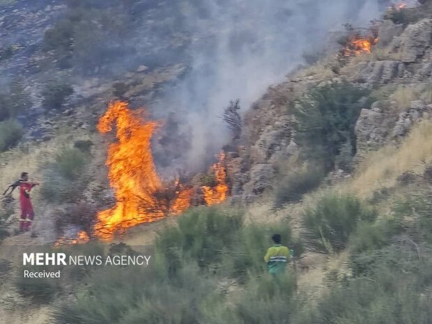 5502143 آتش در کمین جنگل های کهگیلویه؛از عامل انسانی تا کمبود تجهیزات مهار آتش