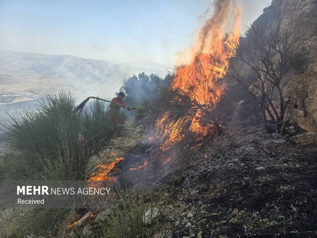 5502148 آتش در کمین جنگل های کهگیلویه؛از عامل انسانی تا کمبود تجهیزات مهار آتش