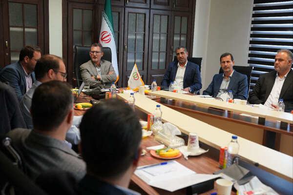 «طرح پایش فعالیت بدنی ایرانیان» در دستور کار شورای راهبردی ورزش همگانی