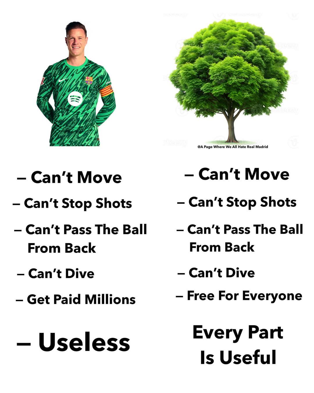 gr6t7zfxgaegk18 مقایسه تراشتگن با درخت