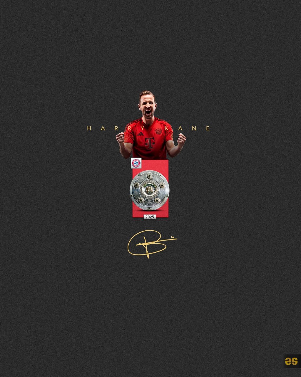 تمام افتخارات هری کین در یک قاب (دستاوردهای تیمی)