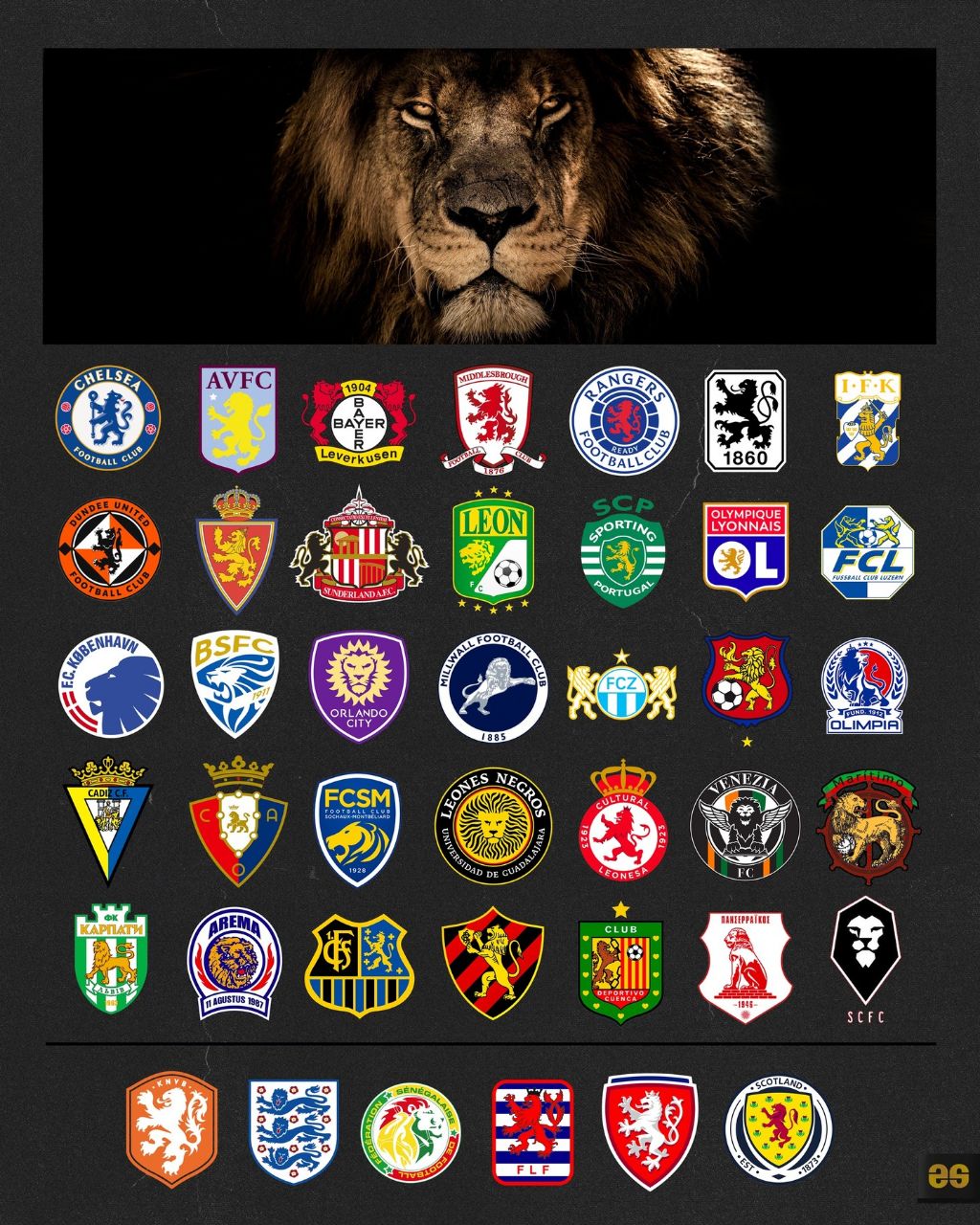 تیم‌های فوتبالی معروف که در لوگوی خود عکس شیر دارند