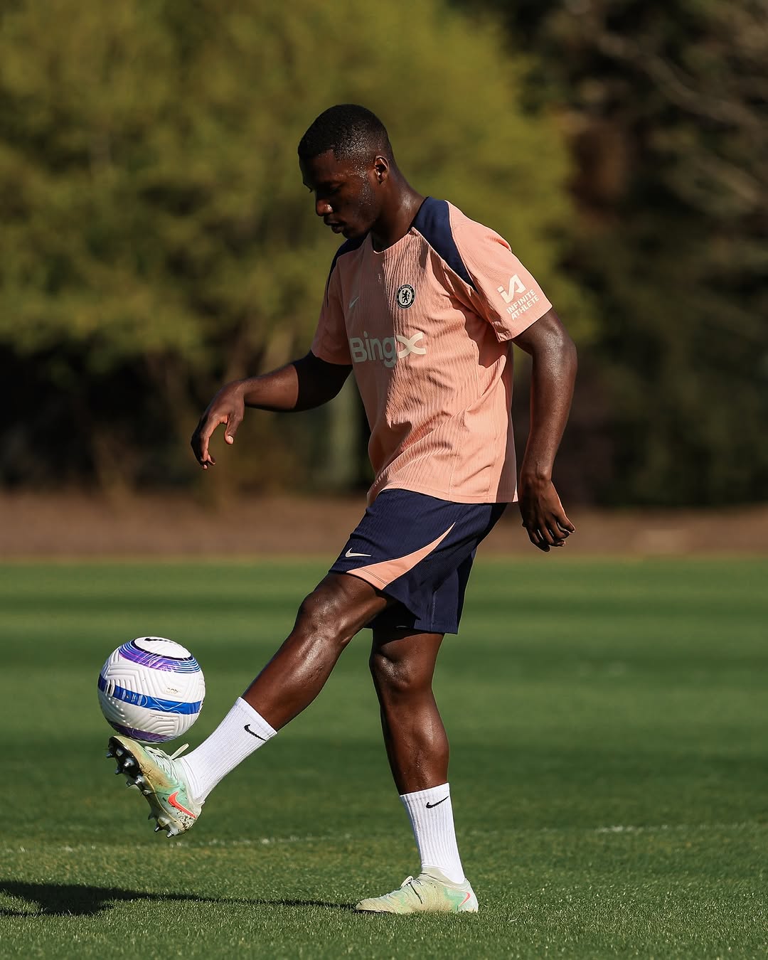 مویسس کایسدو