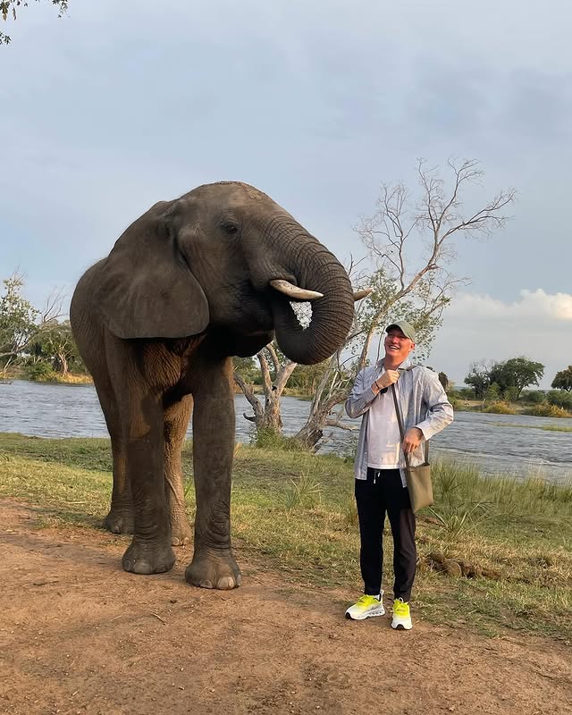 باستین شواین اشتایگر