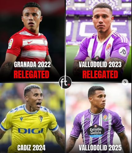 داروین ماچیس