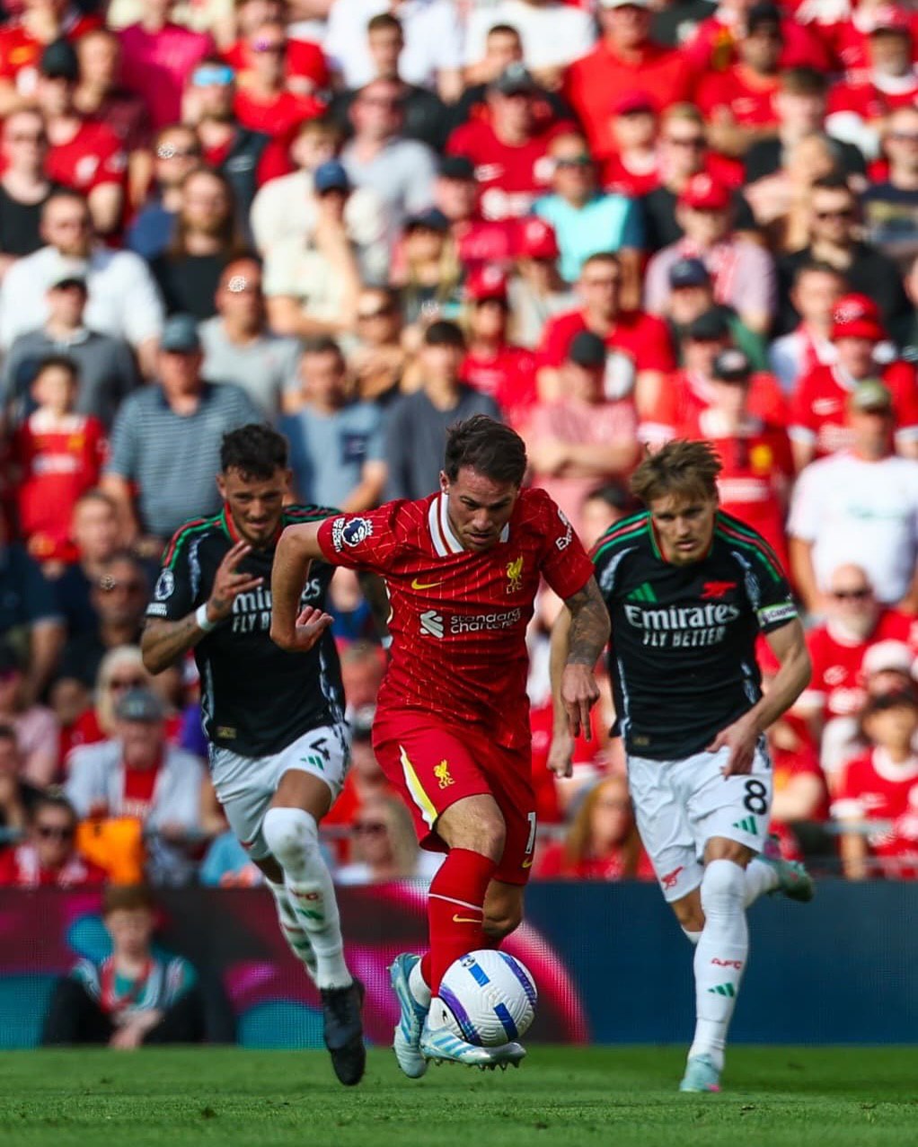 الکسیس مک آلیستر