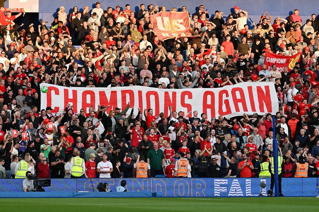 photo_2025-05-20_02-27-57 اندی رابرتسون