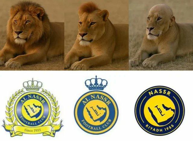 photo_2025-05-21_02-44-23