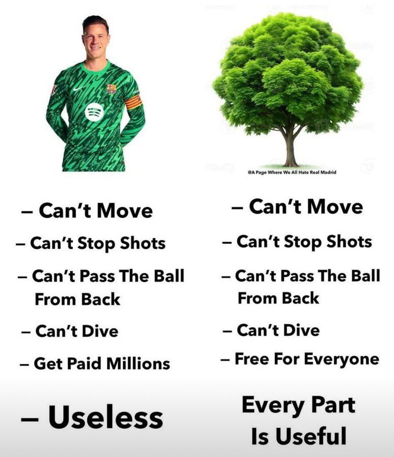 photo_2025-05-21_02-51-00