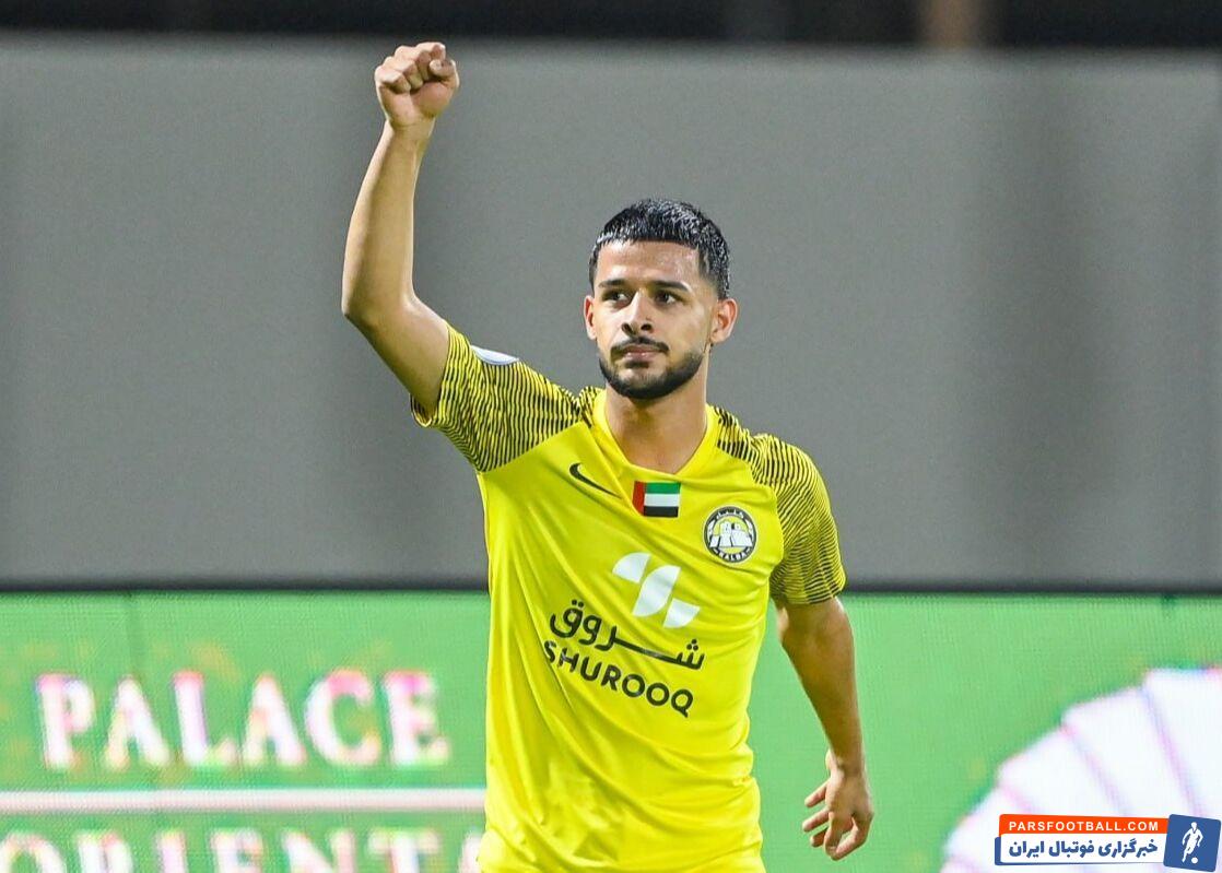 مهدی قایدی : سگ گله هم عاشق گوشته ولی به خودی نمی زنه