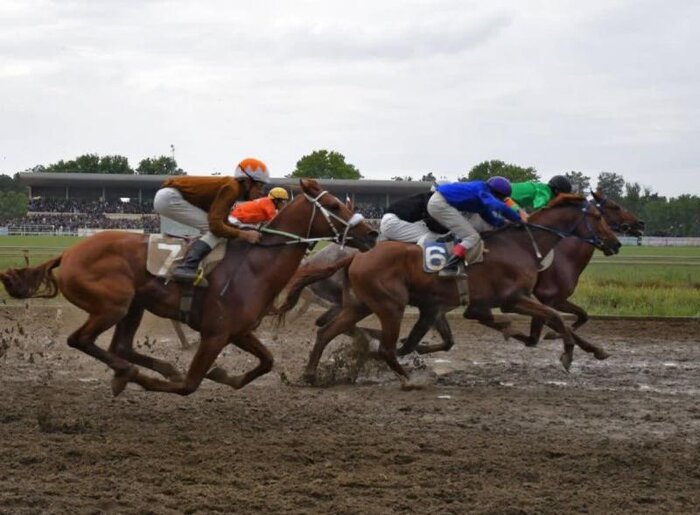 استقبال از توقف تمام مسابقات اسب‌دوانی ایران در روز آبی‌پوش شدن آقاسی