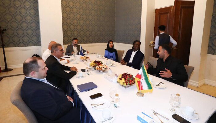 سخنگوی باشگاه استقلال: هیچ گزینه‌ای را مطرح نکردم