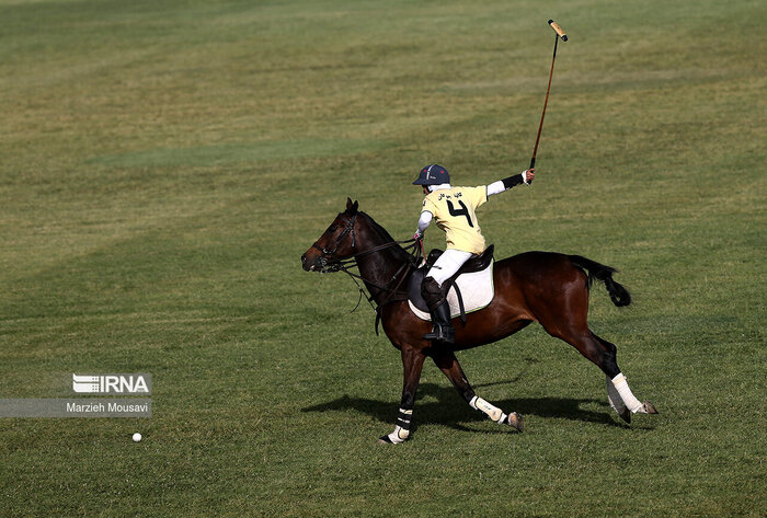 یزد، صاحب ورزش چوگان شد