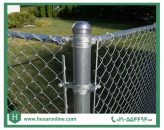 حصار آنلاین؛ مرجعی مطمئن برای خرید توری مش، رابیتس و فنس